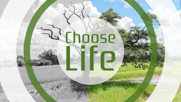 Choose Life Campaign